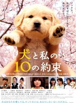 10 Promises To My Dog (2008) afişi