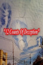 12 Counts Of Deception (2011) afişi