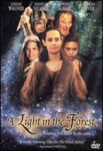 A Light ın The Forest (2002) afişi
