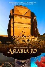 Arabia 3d (2010) afişi