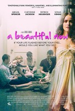 A Beautiful Now (2015) afişi