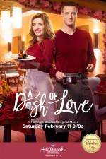 A Dash of Love (2017) afişi
