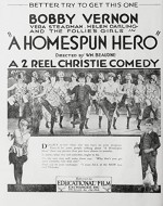 A Home Spun Hero (1920) afişi