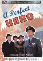A Perfect Hero (1991) afişi