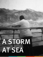 A Storm At Sea (1900) afişi