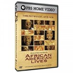 African American Lives (2006) afişi