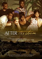After The Storm (2009) afişi