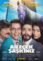 Ailecek Şaşkınız (2018) afişi Ailecek Şaşkınız (2018) afişi