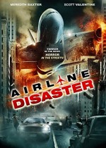 Airline Disaster (2010) afişi
