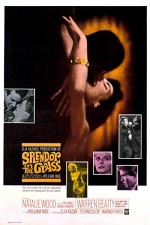 Aşk Bahçesi (1961) afişi