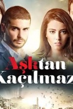 Aşktan Kaçılmaz (2014) afişi