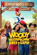 Ağaçkakan Woody Yaz Kampında (2024) afişi