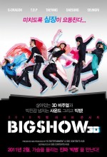 Big Bang Big Show 2010 Live Concert 3D (2011) afişi
