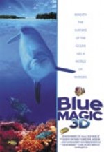 Büyülü Okyanus (2003) afişi
