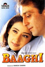 Baaghi (2000) afişi