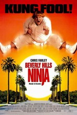 Beverly Hills Ninja (1997) afişi