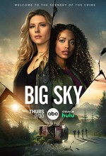 Big Sky (2020) afişi