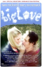 Biglove (2001) afişi
