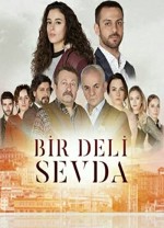 Bir Deli Sevda (2017) afişi