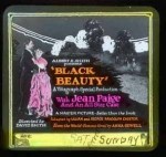 Black Beauty (1921) afişi