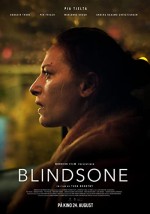 Blind Spot (2018) afişi