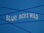 Blue Aces Wild (1973) afişi