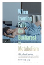 Bükreş’te Gece Çöktüğünde Ya Da Metabolizma (2013) afişi