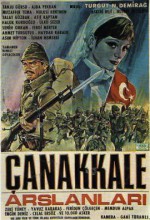 Çanakkale Aslanları (1964) afişi
