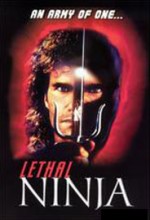 Cesur Ninja (1993) afişi