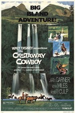 Castaway Cowboy (1974) afişi