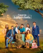 Çınarın Gölgesinde (2015) afişi