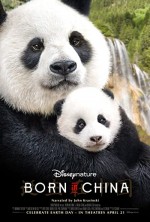Çin'de Doğdum (2016) afişi
