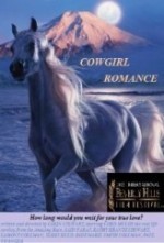 Cowgirl Romance (2013) afişi