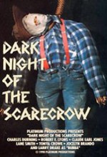 Dark Night Of The Scarecrow (1981) afişi