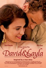 David Ve Leyla (2005) afişi