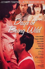 Days of Being Wild (1990) afişi