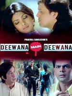 Deewana Main Deewana (2013) afişi