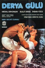 Derya Gülü (1979) afişi