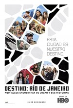 Destino (2012) afişi