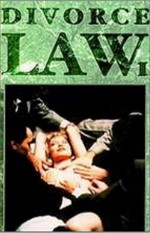 Divorce Law (1993) afişi