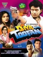 Diya Aur Toofan (1995) afişi