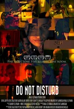 Do Not Disturb (2011) afişi