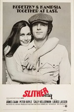 Dolandırıcı (1973) afişi