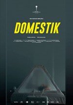 Domestik (2018) afişi