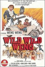 D'wild Wild Weng (1982) afişi
