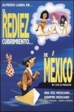 El Rediezcubrimiento De México (1979) afişi
