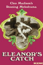 Eleanor's Catch (1916) afişi
