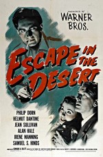 Escape In The Desert (1945) afişi
