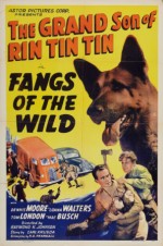 Fangs Of The Wild (1939) afişi