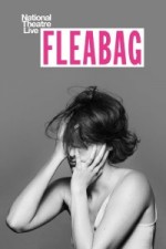 Fleabag (2019) afişi